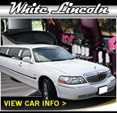 8 seater Lincoln Town Car graphic